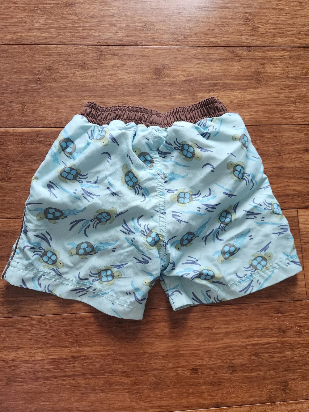 Gymboree Baby Boys Turtle Swim Trunks With Lining, 12-18 Months